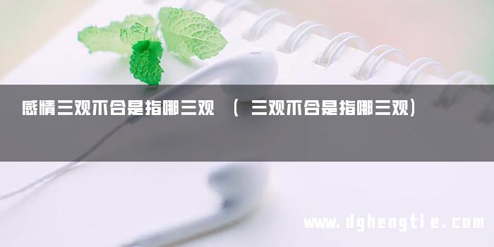 感情三观不合是指哪三观 (三观不合是指哪三观)